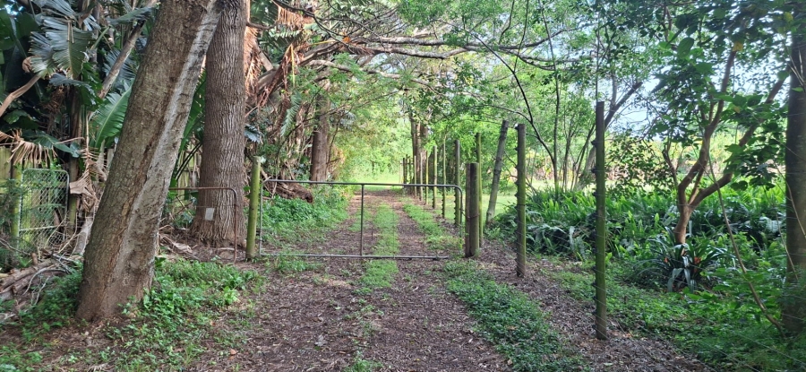 Commercial Property for Sale in Meisies Halt Eastern Cape